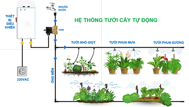 Công nghệ Hỗ trợ: Tưới tự động tiết kiệm nước, phù hợp cho vườn ban công bận rộn