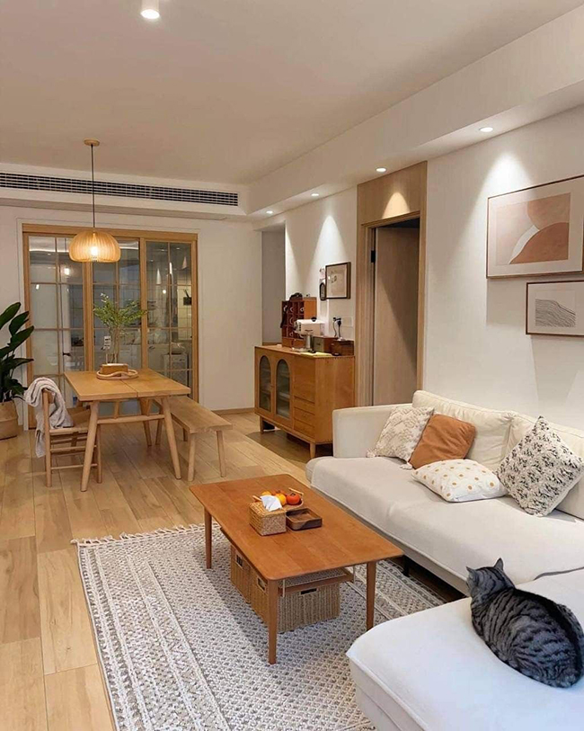 Phòng khách và phòng ăn liền kề, sử dụng thảm để phân chia không gian