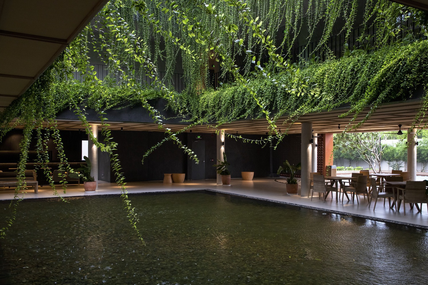 Phong cách Biophilic trong môi trường sống và làm việc